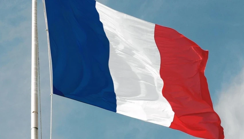 Francia cég magyar gyártót keres