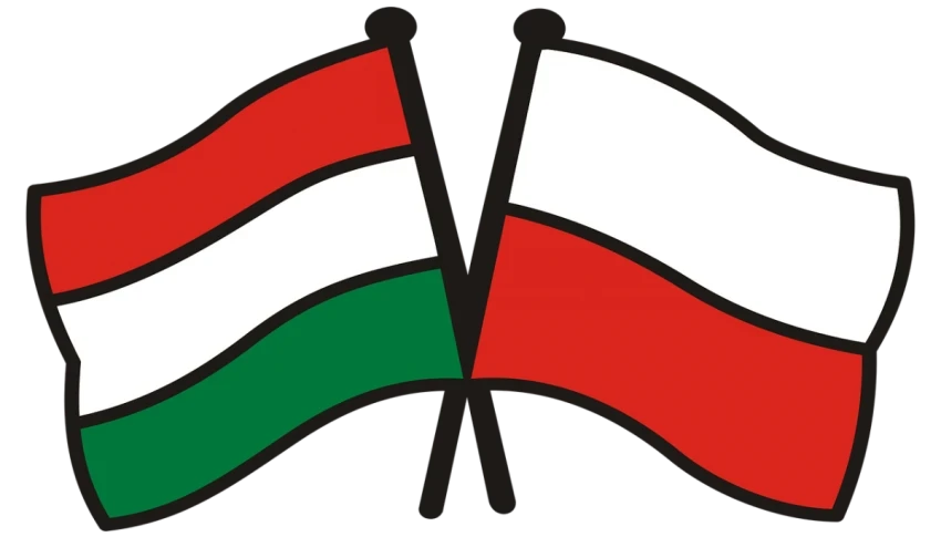 Lengyel-Magyar Gazdasági Nap