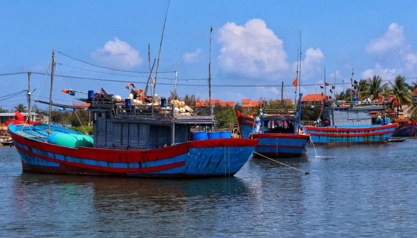 Vietnámi mezőgazdasági fórum
